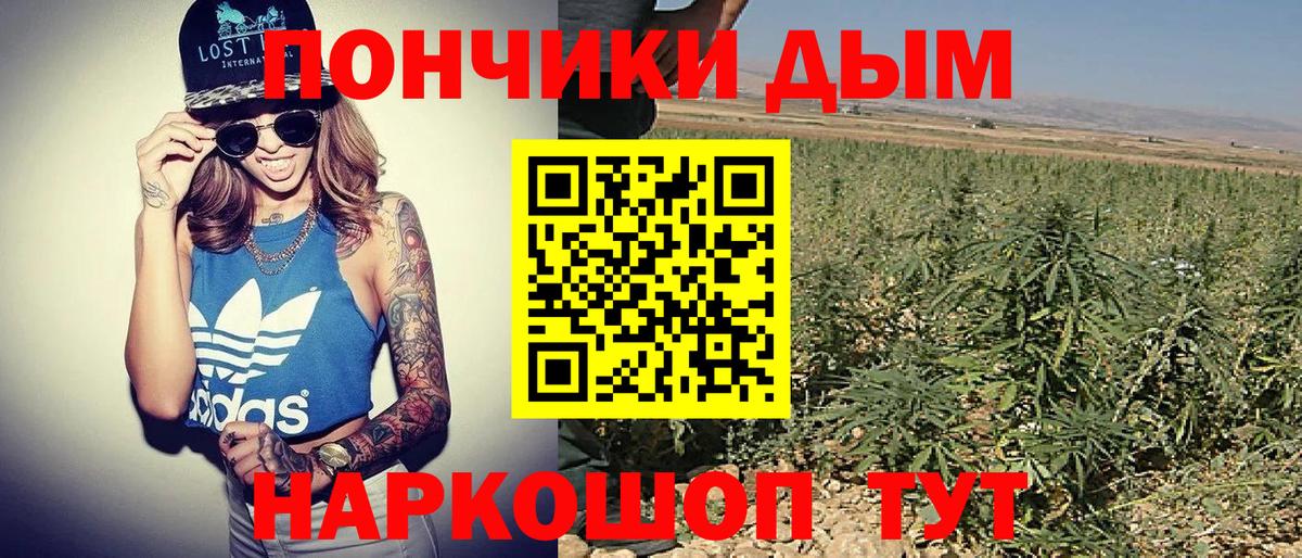 Бошки Шишки MAZAR Нягань
